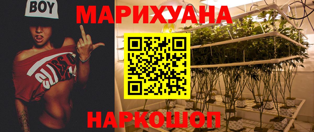 Бошки марихуана ГИДРОПОН Шадринск
